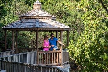 Hotel Grotto Bay Beach Resort Bermuda