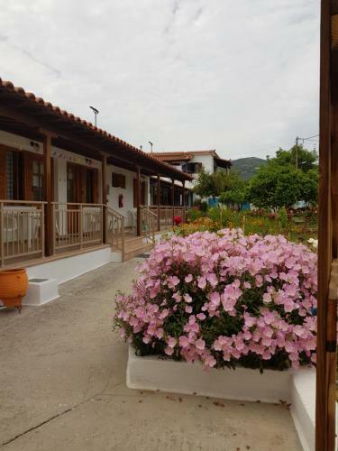 Apartamento Asimina's House