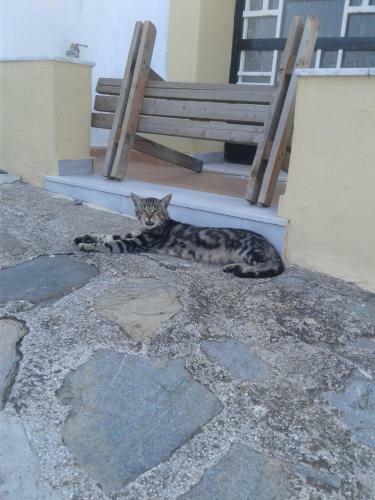 Skopelos Traditional Villa