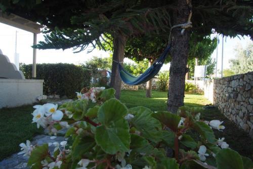 Apartamento Irini Studios