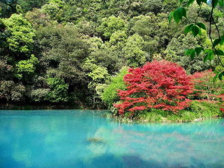 Hotel Four Points By Sheraton Hanzghou