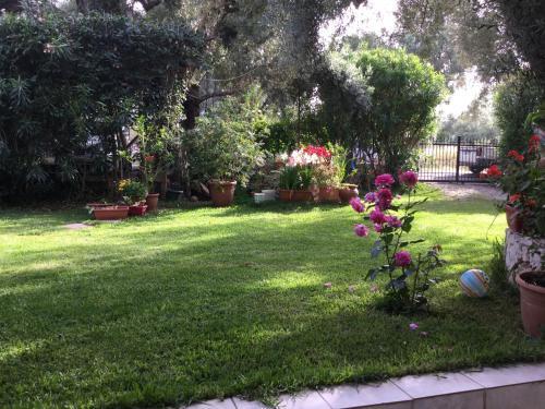 Apartamento Ntinas House