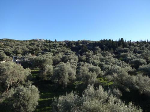 Pansion Filoxenia Apartments & Studios