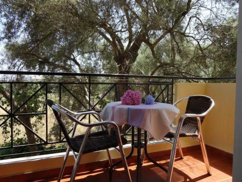 Pansion Filoxenia Apartments & Studios