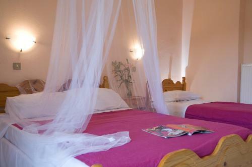 Pansion Filoxenia Apartments & Studios