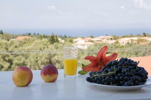 Pansion Filoxenia Apartments & Studios