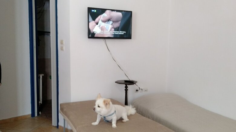Apartamento Akti Miaouli Holiday Home