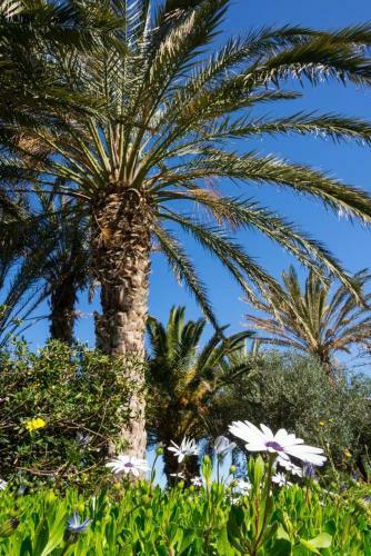 Apartamento Bougainvillea House In Crete
