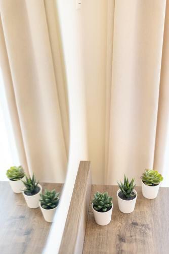 Apartamento Plateia Rooms