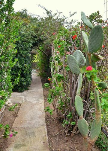 Apartamento Odysseas Bungalows