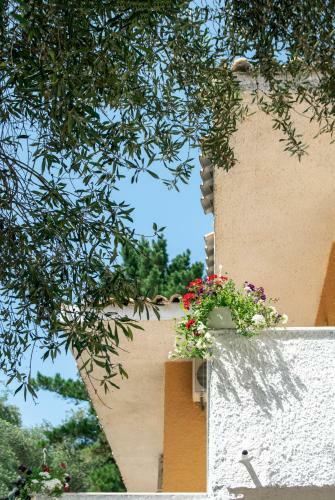 Apartamento Blue Horizon Corfu