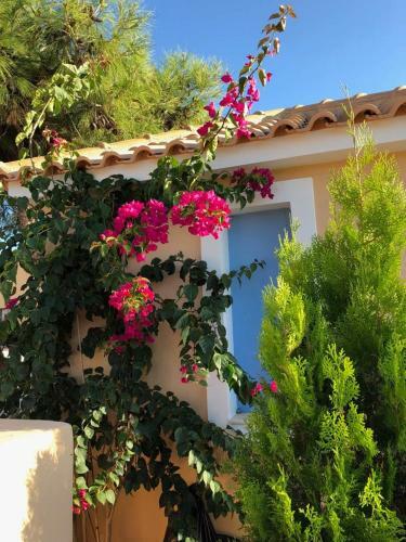 Hotel Remetzo Village