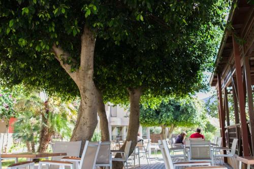 Hotel Dessole Malia Beach - All Inclusive