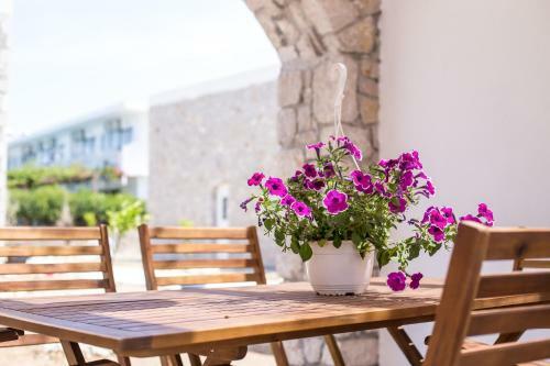 Belvita Home Villas