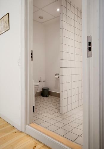 Spacious Apartments In Copenhagen Centre