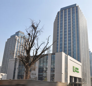 Hotel Holiday Inn City Centre