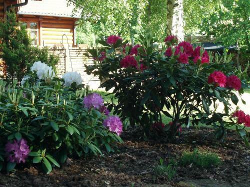 Holiday Home Vejby Viii