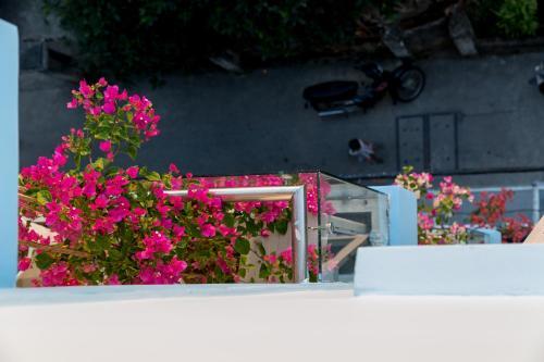 Thanh Hotel & Apartment