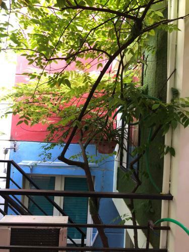 Apartamento La Ventana Mordern House