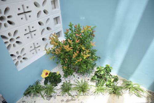 Bed & Breakfast Lovely Homestay Hue