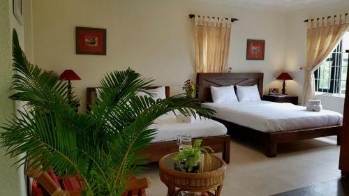 Villa Doan's Home