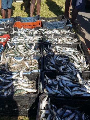 Apartamento 5 Key Largo