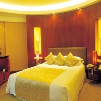 Hotel Shenzhen Shanghai (executive)