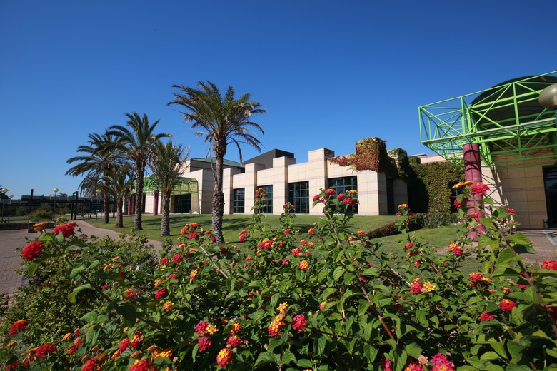 Hotel Ibis Porto Sul Europarque