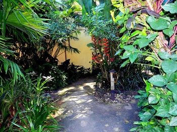 Hotel Pousada Magia Verde