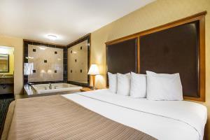 Hotel Quality Inn & Suites