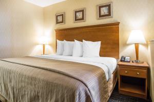 Hotel Quality Inn & Suites
