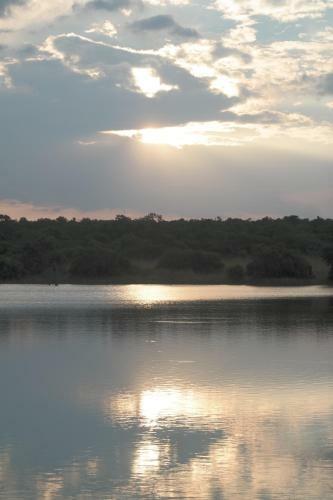 African Skies 164 Zebula