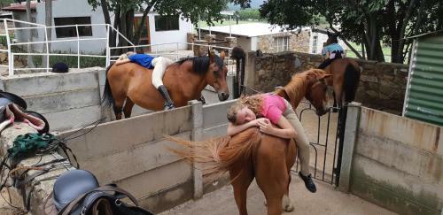 Stone Meadows Country Estate