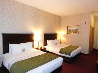 Hotel Comfort Inn & Suites