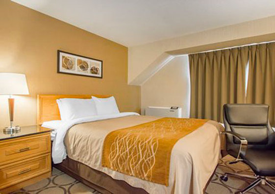 Hotel Comfort Inn Amherst