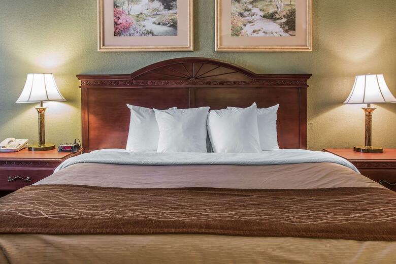 Hotel Comfort Inn & Suites Ann Arbor