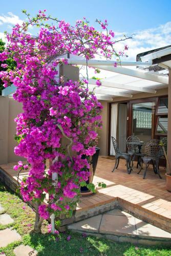 Hostal Bayside Guesthouse