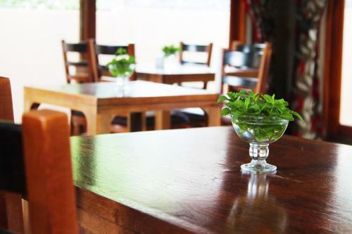Hostal Echo Garden Guesthouse