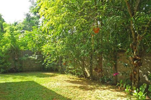 Hostal Ayesha Guest House