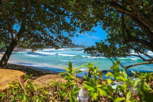Bed & Breakfast Sajana Ocean Hill