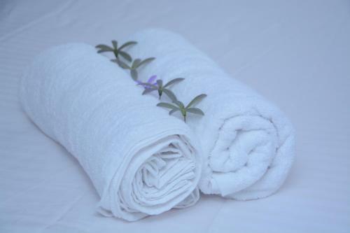 Bed & Breakfast Luaya Beach