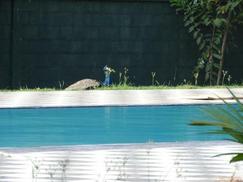 The Grand Yala Hotel