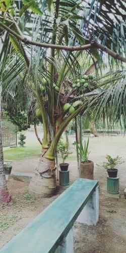 Avendra Holiday Home - Weligama