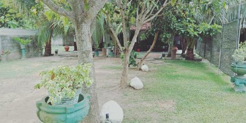 Avendra Holiday Home - Weligama