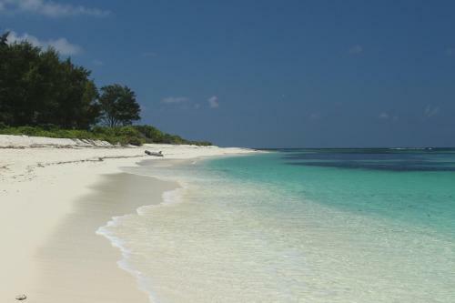 Seyscapes Yacht Charter Tina