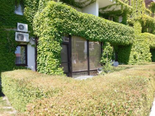 Happy Place Apartments Pezaro
