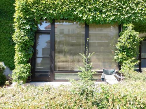 Happy Place Apartments Pezaro