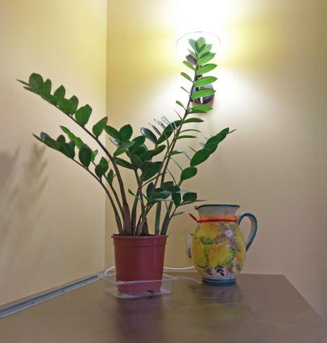 Happy Place Apartments Pezaro