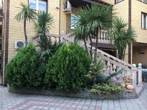 Hostal Guesthouse U Susanny