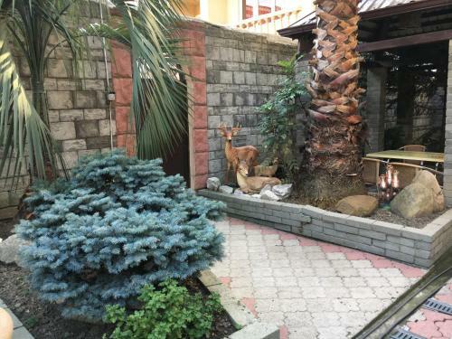 Hostal Guesthouse U Susanny